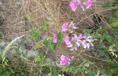 Borgo Fango - Foto 22