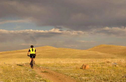 The Lux in Lakewood. Minutes from Red Rocks. Hikes - Foto 21