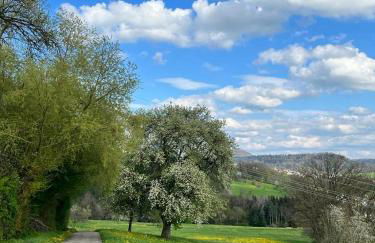 Marbachtäle - Foto 64