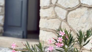 Appartements de Diane - JOIGNY - Foto 2