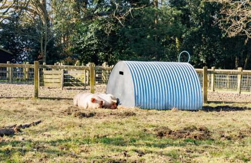 The Old Abbey Farmhouse - Stay at Quarr Abbey Monastery - Pet-Friendly Farmhouse with History & Countryside Views, surrounded by woodland & nature - Photo 46