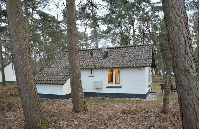 Completely Detached Bungalow in a Nature-filled Park by a Large fen - Photo 80