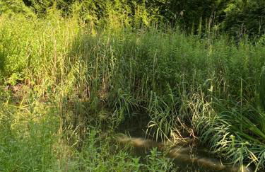 Barnacle Barn, North Norfolk - Foto 42