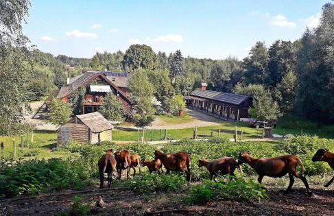 Tamarynowa Osada - Kraina Udanego Wypoczynku - Foto 7