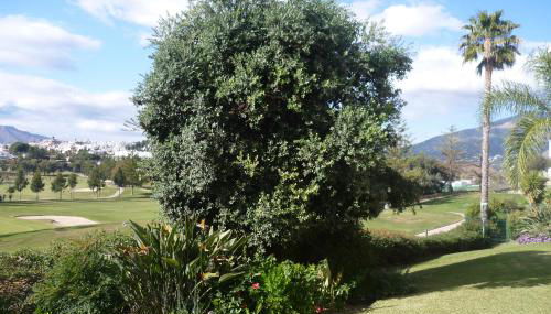 Beautiful Apt with Golf & Lake Views Mijas Golf - Photo 3