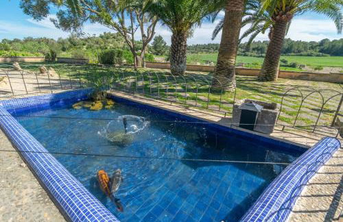 Hortella Ecofinca in San Juan - Foto 76