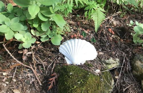 Presbytère de cassagnes - Foto 28