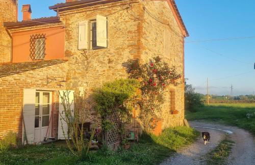 Casa Angelina Altopascio Lucca - Photo 23