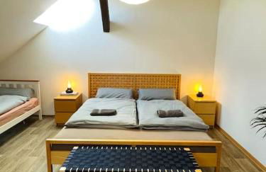 P6 - Familienwohnung am Park und Saale - Foto 20