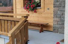 Hêtre pourpre - Foto 20