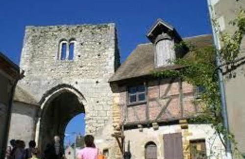 Maison de vacances avec grande piscine et tennis, proche du Zoo de Beauval et des Châteaux de la Loire - FR-1-591-47 - Foto 6
