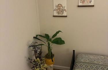 Cute bungalow in a great St Louis neighborhood - Foto 7