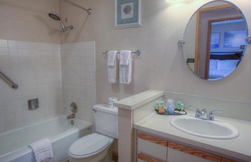 The Grey Gull - Foto 72