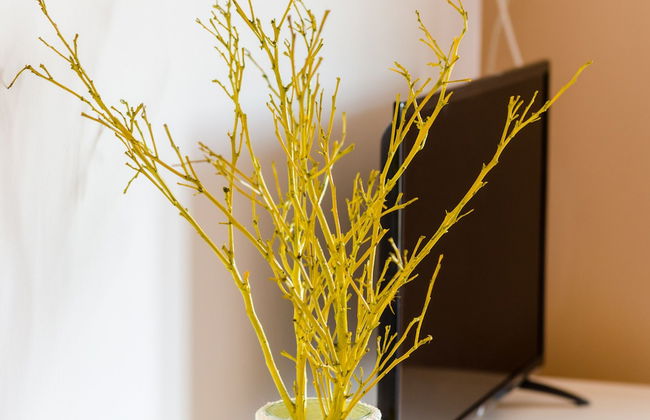 Maraština Suites - Foto 18