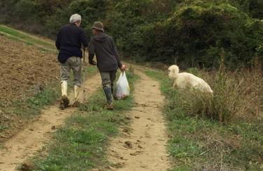 Agriturismo Cignale della Società Agricola Cignale srl - Photo 62