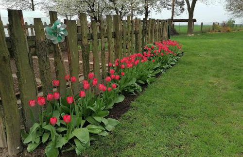 Domek na wsi Wiejsko Czarodziejsko - Agroturystyka Podlasie - Foto 66