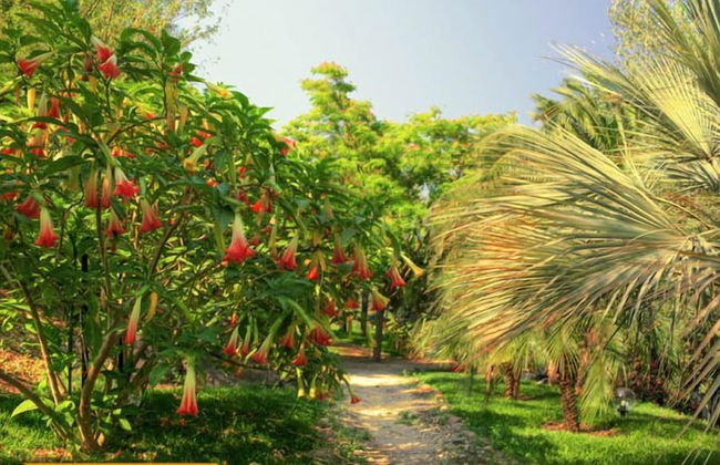 Tenuta di Roccadia - Foto 26