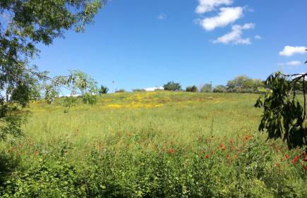 Agriturismo cavallin del papa - Foto 7