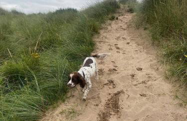 Room with a view - Foto 57