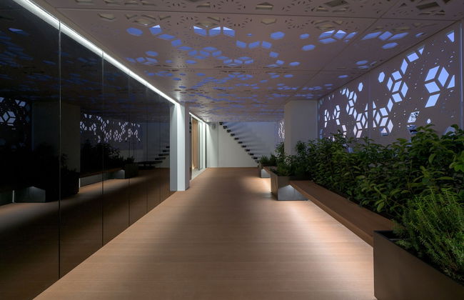 Essence Suites - Photo 39