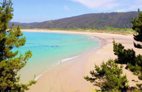 CASA AREALBA Casa con piscina muy cerca de las playas de San Xurxo y Doniños - Foto 44