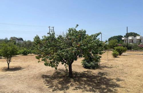 Aegean Endless Summer Villa Pefkos - Foto 54