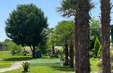 Casa colibrì - Foto 2