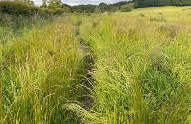 Unbox at Poplar Tree - Photo 37