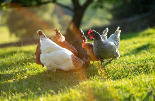 Hillside Haven, panoramic views Nr Bakewell - Photo 20