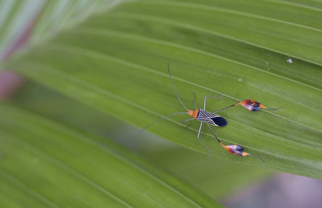 Pura Natura Lodge Arroyo - Foto 47