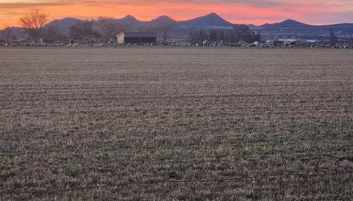 The Elevated Retreat - Foto 3