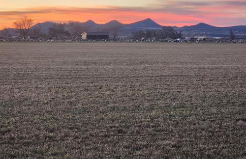 The Elevated Retreat - Foto 3