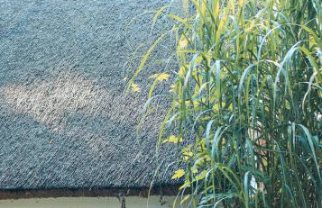 Kauperhaus - Photo 29