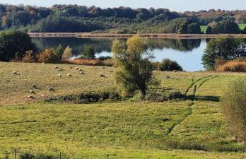 Ferienhaus am See - Foto 28