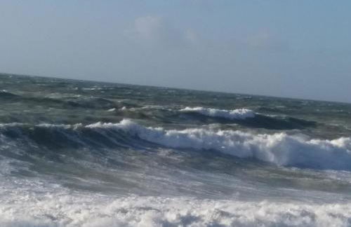 LE WELCOME vue port appartement plain pied - Foto 37