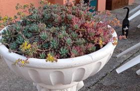 Casa Vacanze Mimose - Foto 26