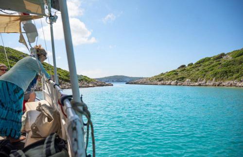 Thodoroulis - Foto 15