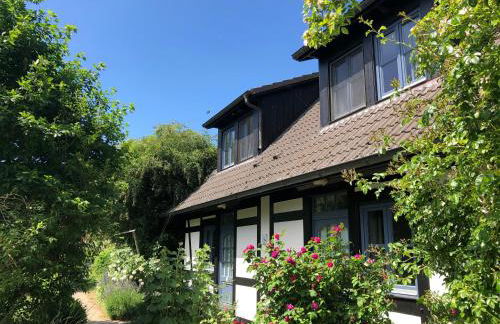 Am Achterwasser DORF 12 - Foto 42