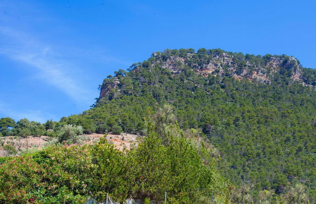 Eremus in Valldemossa - Photo 29