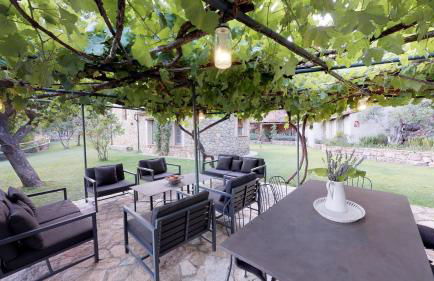 Abejas 1 de El Vergel de Chilla - Foto 10