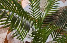 Casa Rural Betraunea - Foto 44