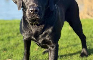 Middlehead Cottages - Foto 28