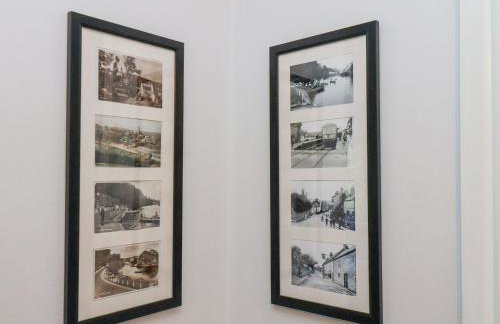 Dabbling Ducks - Foto 22