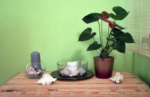 Apartments Vera - Comfort One-Bedroom Apartment with Terrace and Sea View Irena - Foto 15