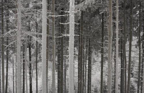 Apartament pod Wielką Sową z Sauną Infrared - Foto 28