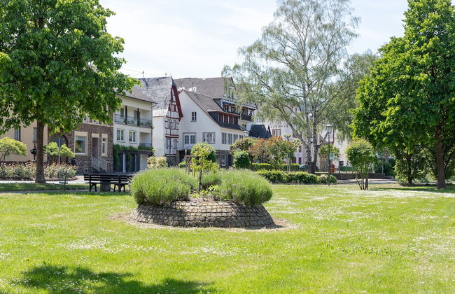 Haus Junge Traube - Photo 39