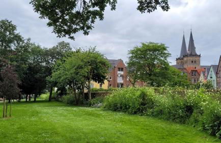 Ferienhaus Am Dombogen - BARRIEREFREI - 2 Schlafzimmer ab 3 Personen - mindestens 3 Nächte Aufenthalt - Foto 51