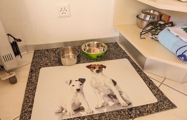 1 bedroom Apartment in Brienz with garden - Photo 22