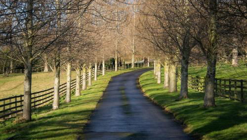 Stunning Stables Cottage in East Lothian Country Estate - Foto 2