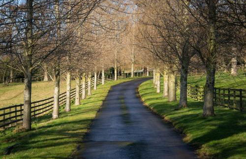 Stunning Stables Cottage in East Lothian Country Estate - Foto 2